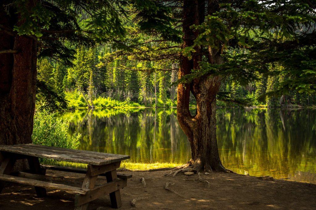 activités plein air