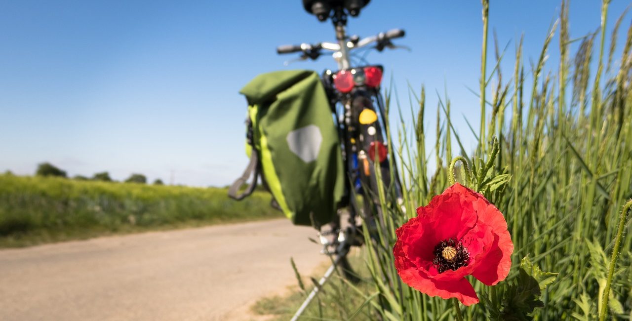 Loire en vélo