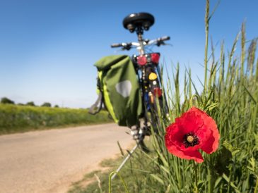 Loire en vélo