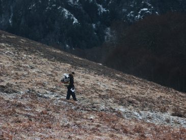 Pyrénées randonnées