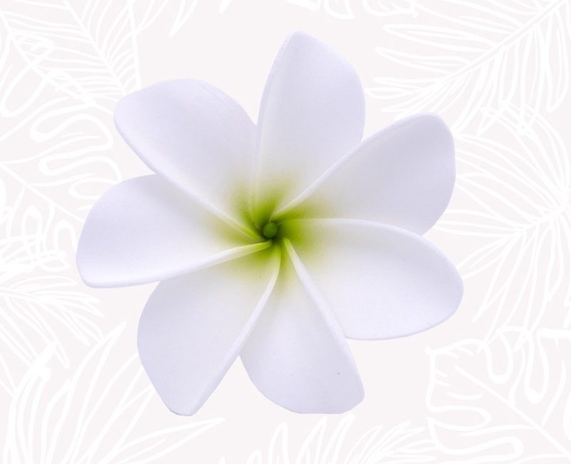 Découvrez la tradition tahitienne des fleurs dans les cheveux