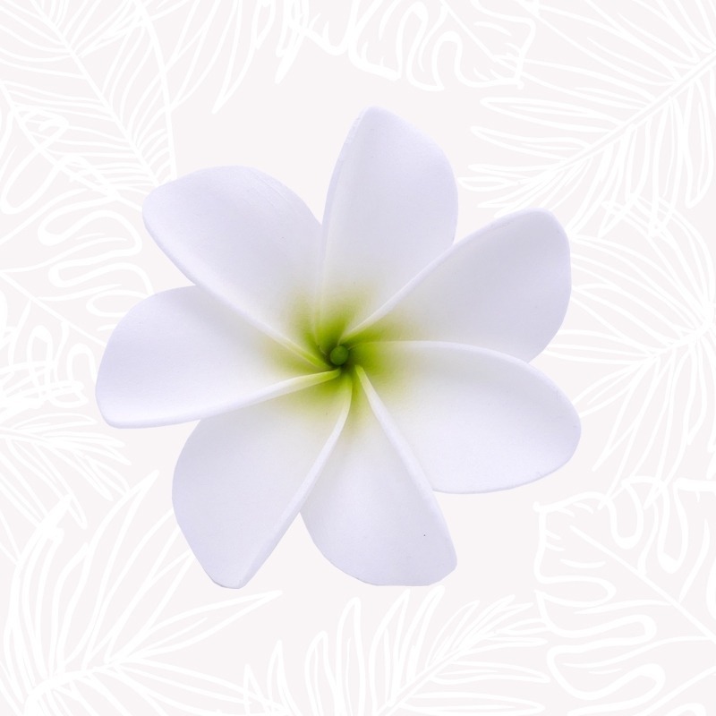 Découvrez la tradition tahitienne des fleurs dans les cheveux