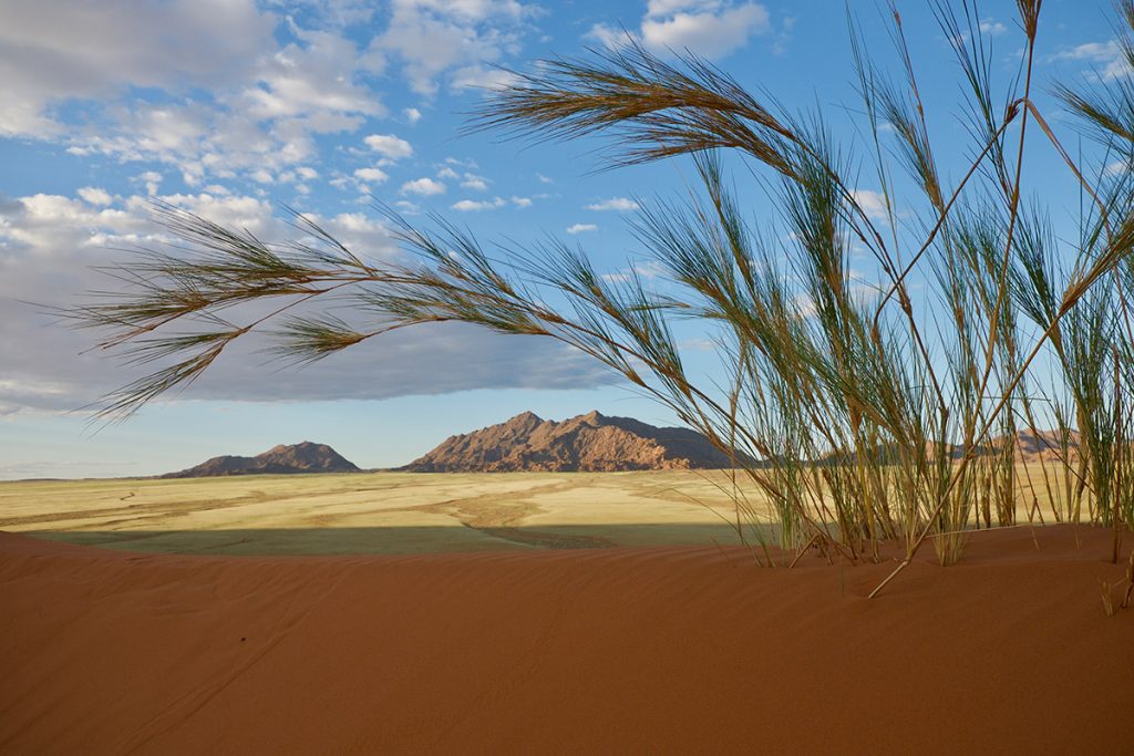 Namibie : Le Moment Idéal pour Vivre une Aventure Inoubliable !