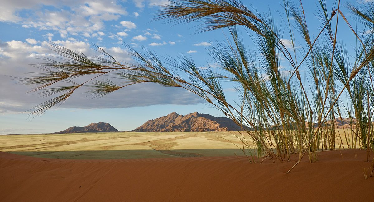 Namibie : Le Moment Idéal pour Vivre une Aventure Inoubliable !