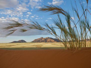 Namibie : Le Moment Idéal pour Vivre une Aventure Inoubliable !