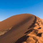 Week-end sportif : initiez-vous à l’escalade en salle pour débutants et passionnés