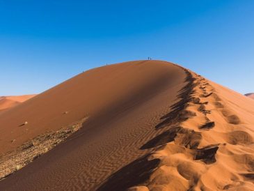 Séjour inoubliable dans le désert algérien : immersion à Djanet