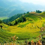 Week-end en famille dans les Cévennes : entre randonnée, baignades en rivière et visites de villages perchés