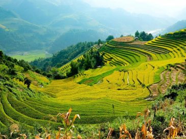 Que mettre dans sa valise pour un voyage au Vietnam réussi