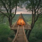 Croisières pour célibataires de plus de 50 ans : une nouvelle façon de voyager