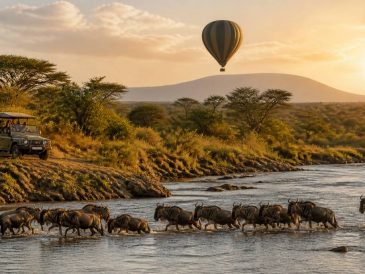Les incontournables d’un safari en Tanzanie
